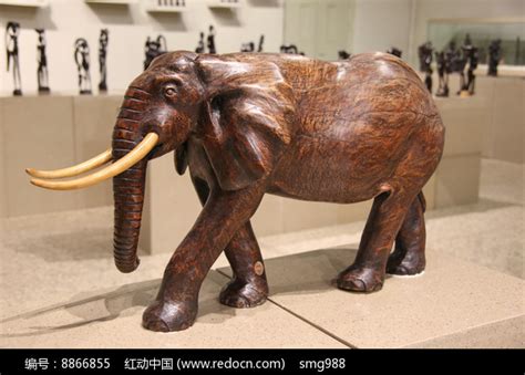 耳洞 位置 大象木雕